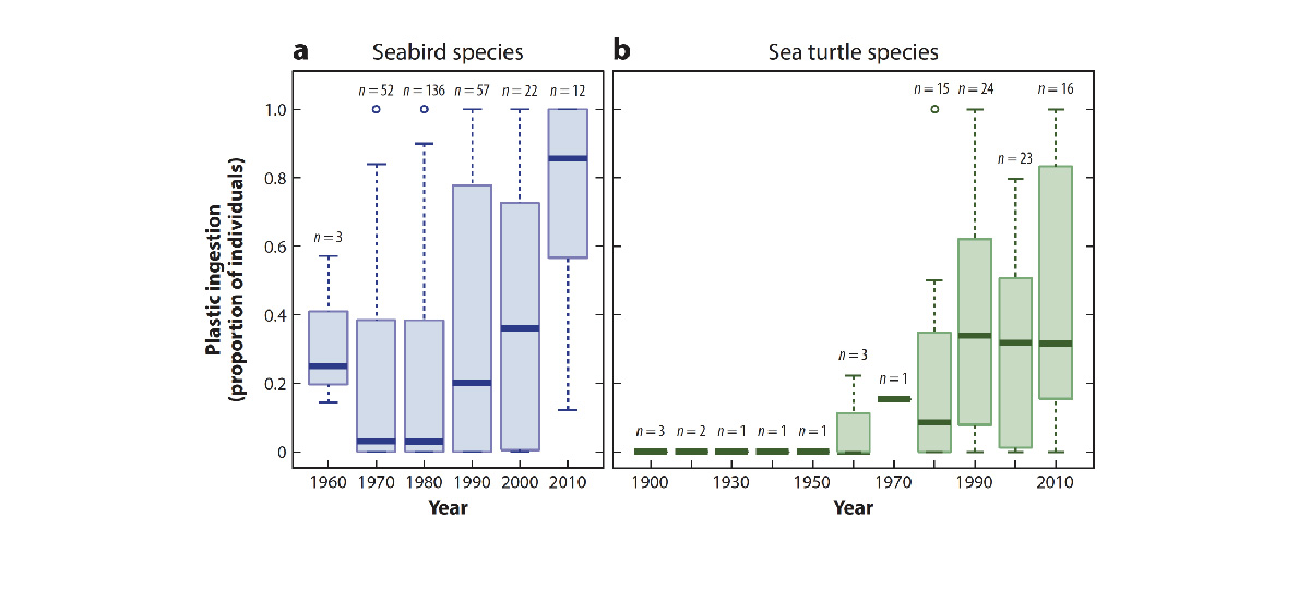plastic pollution chart