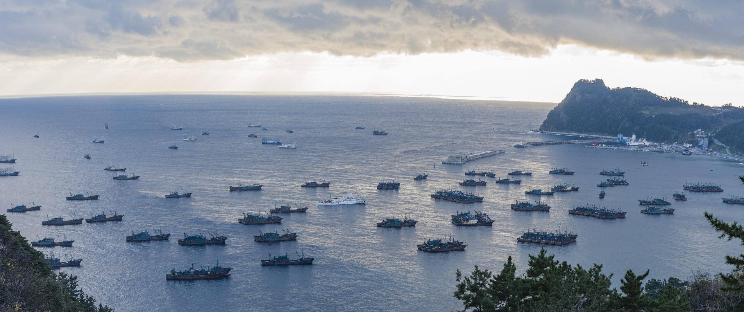photo of fishing fleets in Sadong port, Ulleung-do, South Korea