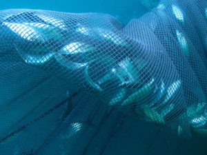 Twisted fishing net