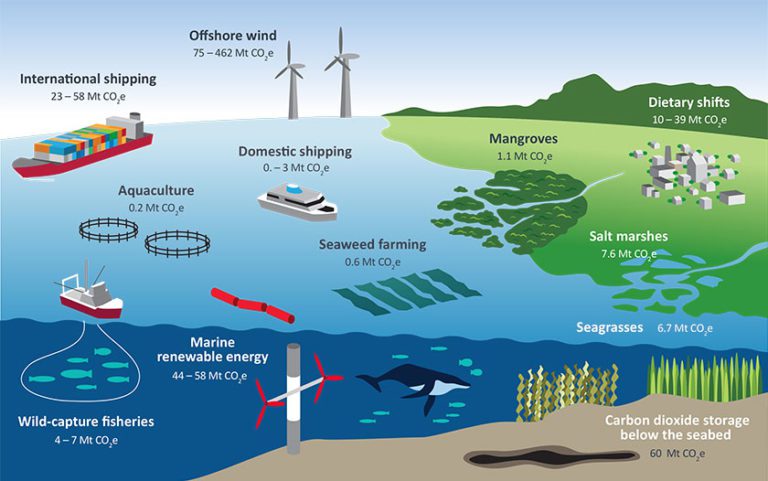 Opportunities for Ocean-Climate Action in the United States (report and ...