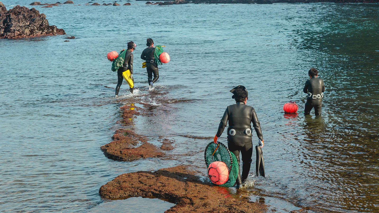 Jeju Island divers