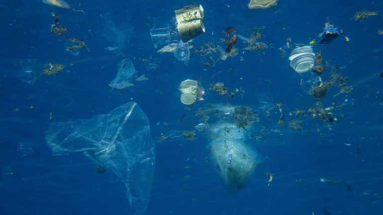 A Solutions Framework To Solve Ocean Plastic Pollution In Our Lifetime ...