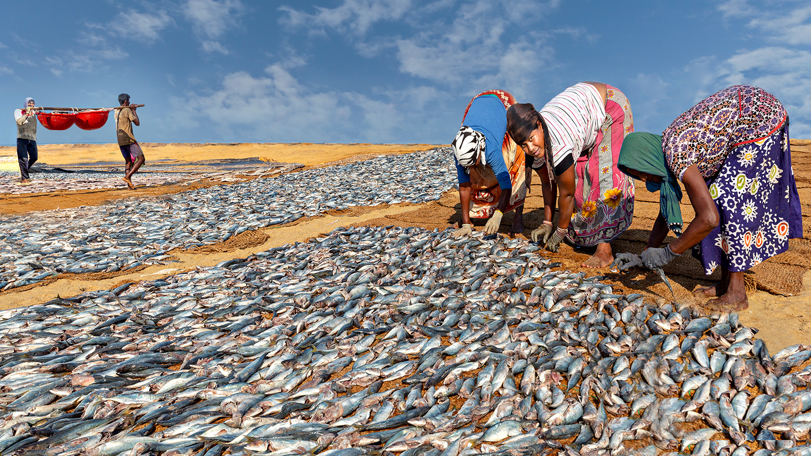 Smale scale fishers in Sri Lanka
