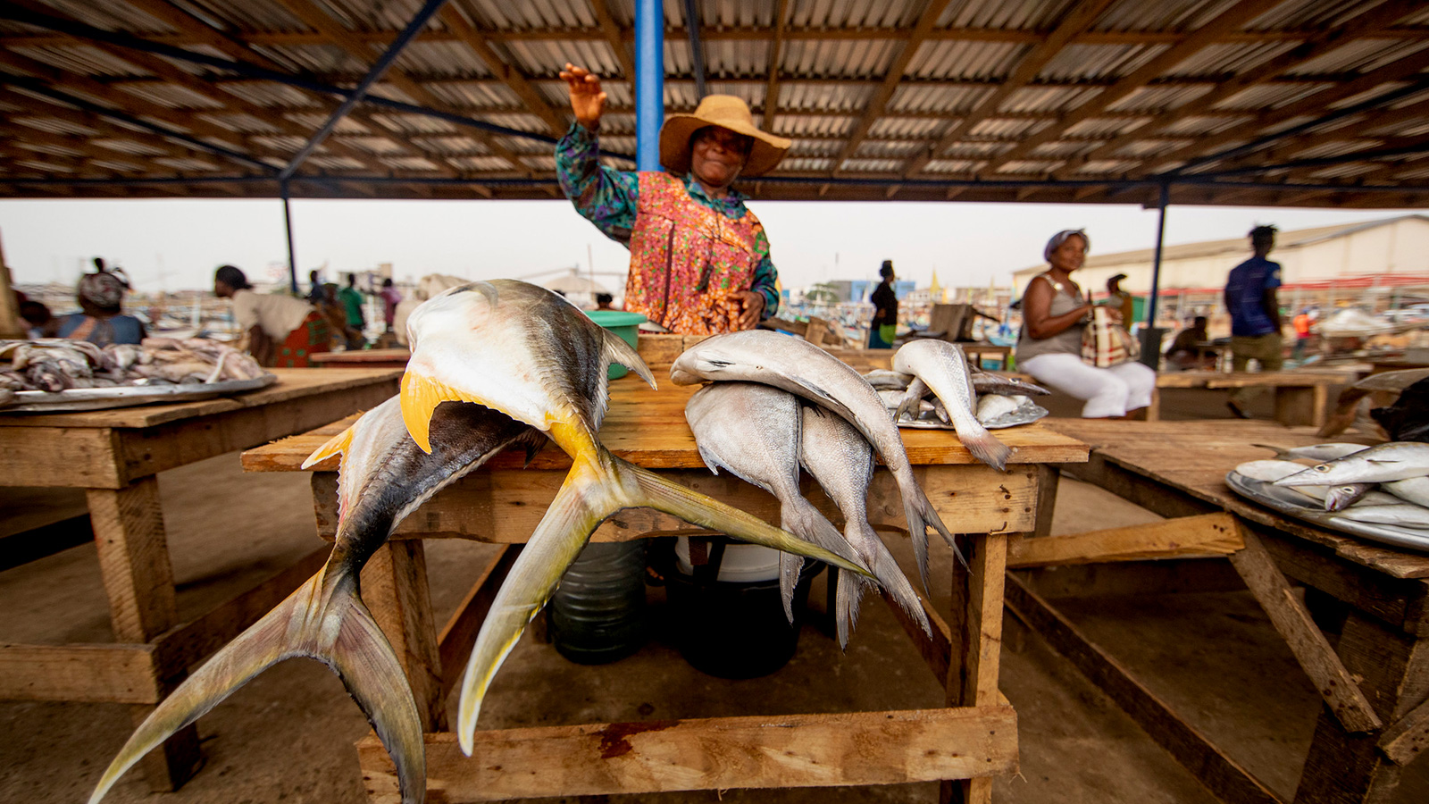 Ghana Fish Retailer