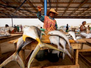 Ghana Fish Retailer