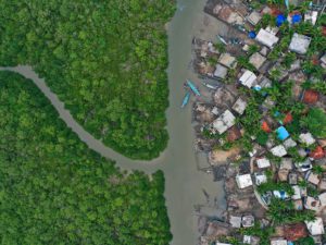mangrove and development