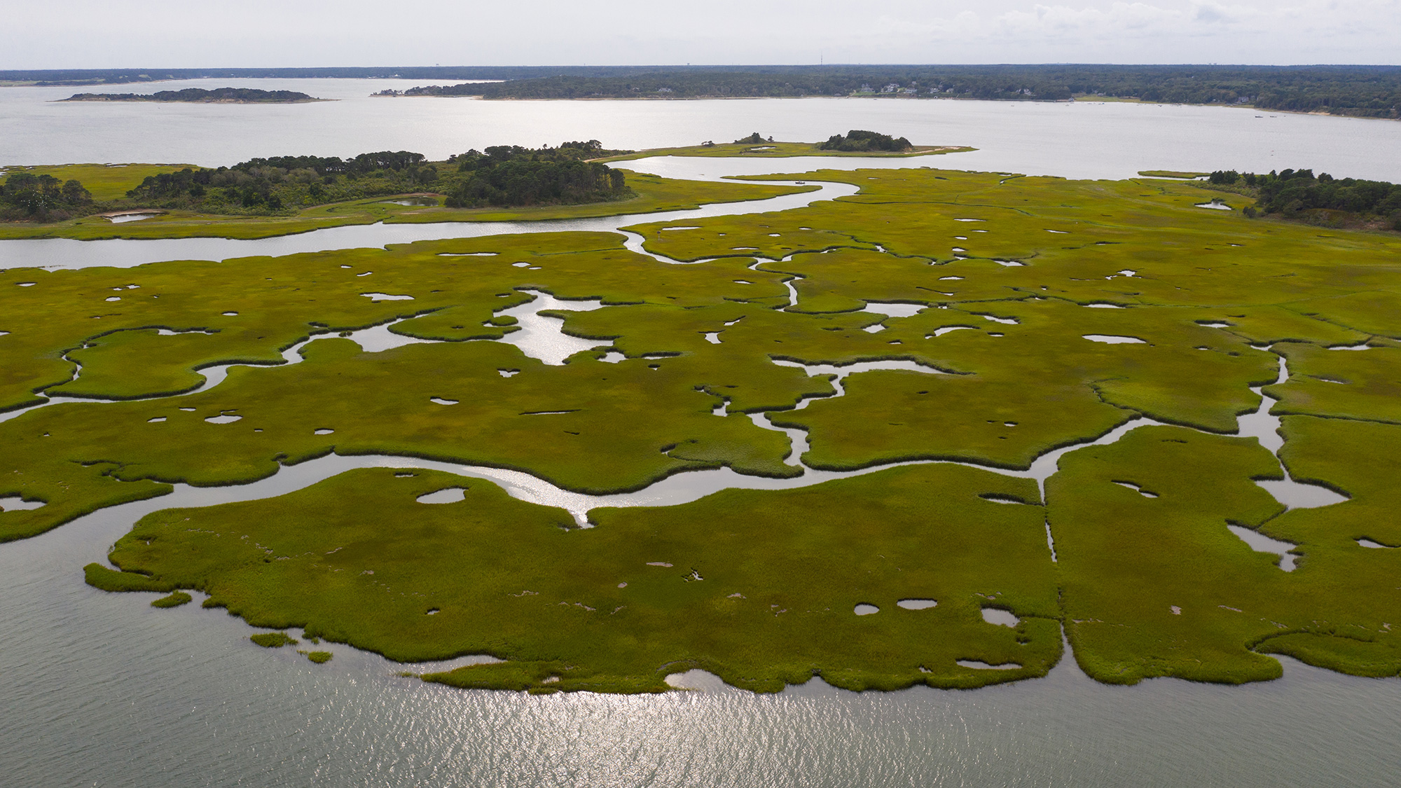 salt marshes aerial view