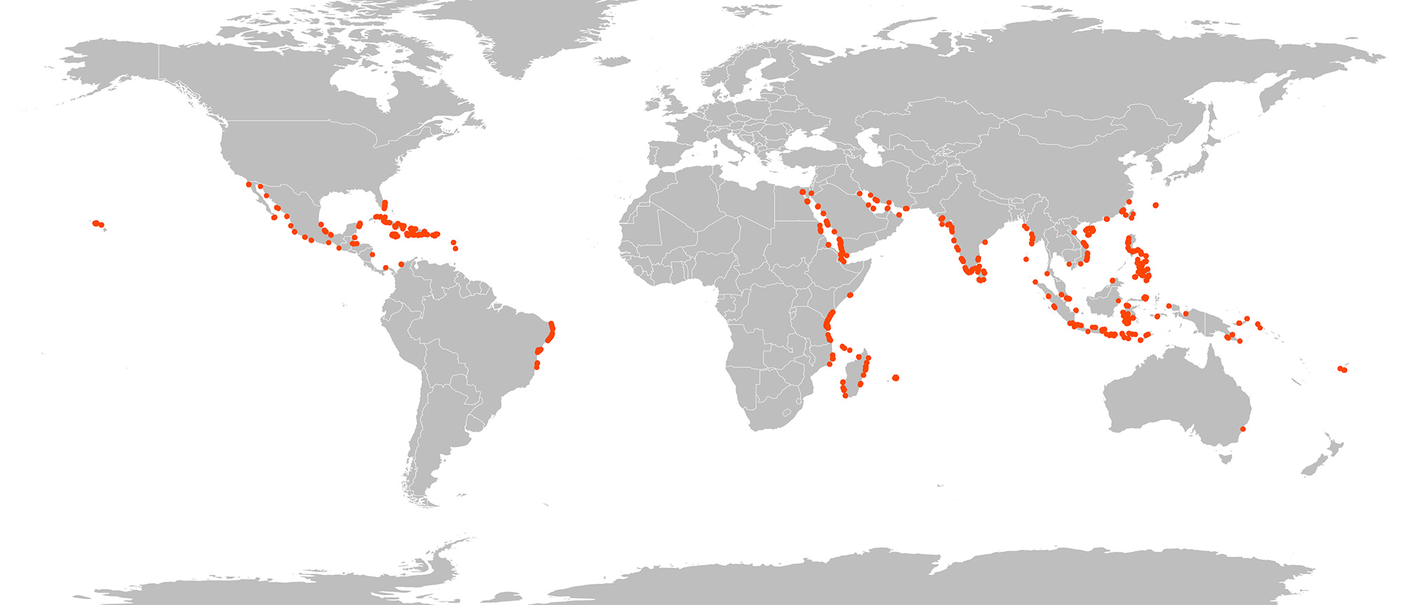 Global map of wastewater hotspots overlapping with coral habitat