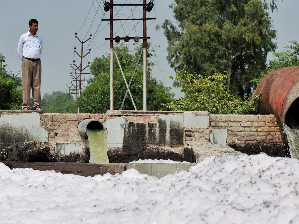 Wastewater used for irrigation in Kanpur, India