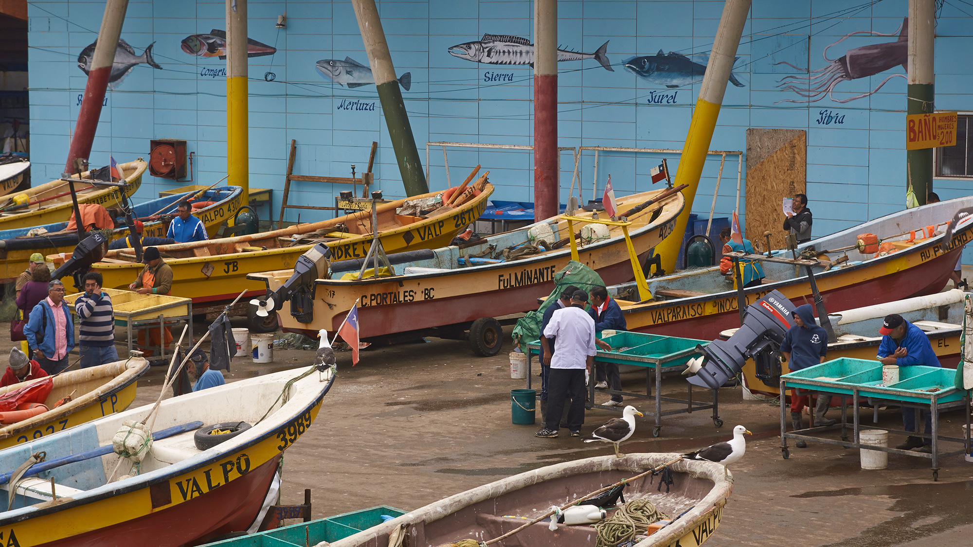 fish market in Valparaiso, Chile