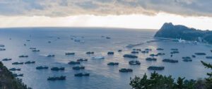 Chinese fishing fleet in South Korea