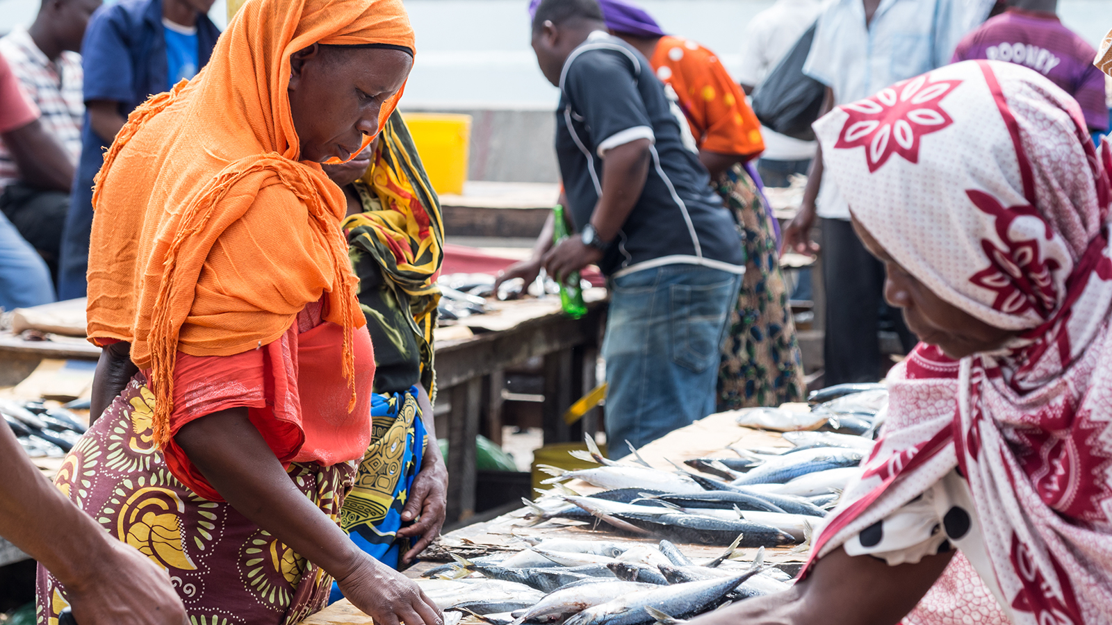 Fish market in Tanzania