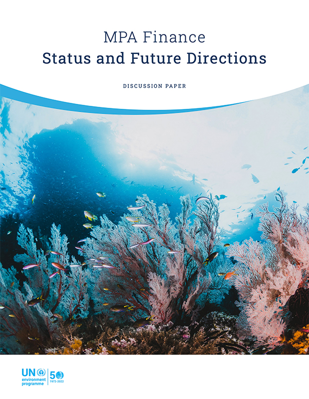 cover of report