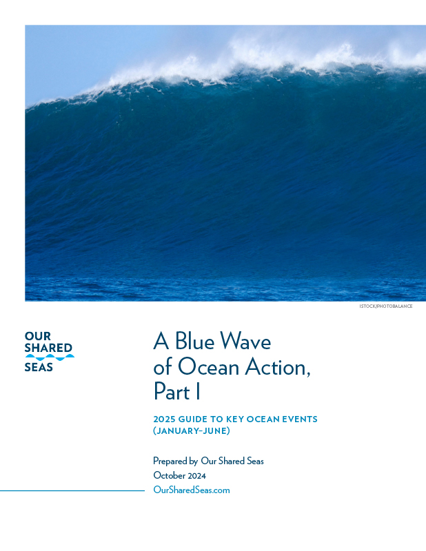 A Blue Wave of Ocean Action 2025 Part I cover