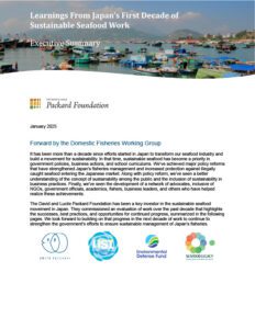 Executive Summary preview image