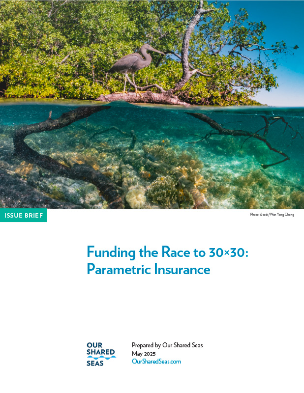 report cover