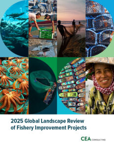 FIPS 2025 Executive Summary cover