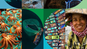 colorful collage of fishers, boats, and sealife